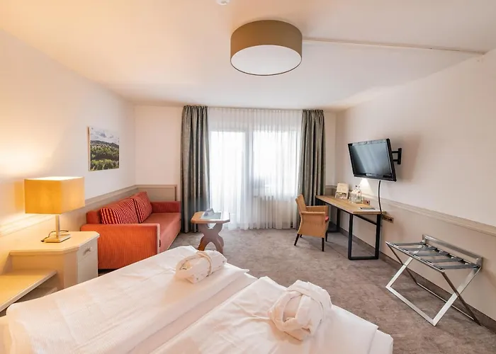 Hotel Goebels Rodenberg 4*